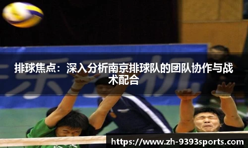 排球焦点：深入分析南京排球队的团队协作与战术配合